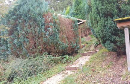 Tannenhuegel Residenz - Foto 29