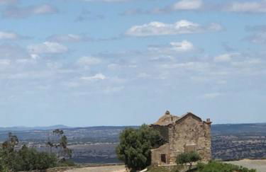 Painel de Monsaraz - Foto 13