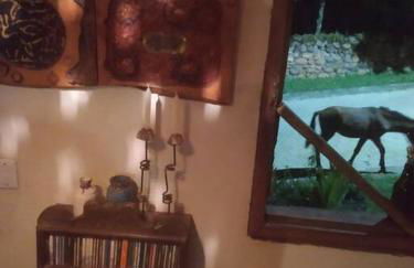 Diamantina, Curralinho Extração - Foto 53