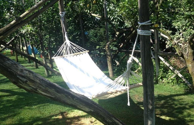 Agriturismo Il Convento - Photo 4