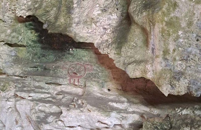 Tour por el Parque Nacional Cotubanamá - Foto 4