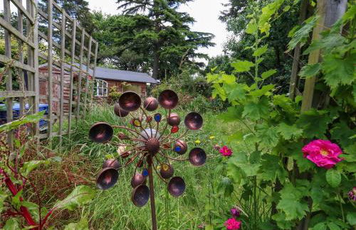 Little Timbers - Foto 42