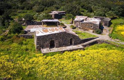 2 Gatti - Sogno - Foto 1