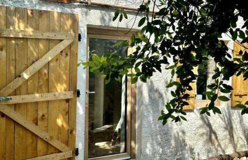 Robinson Crusoe Island Apartment - Foto 7