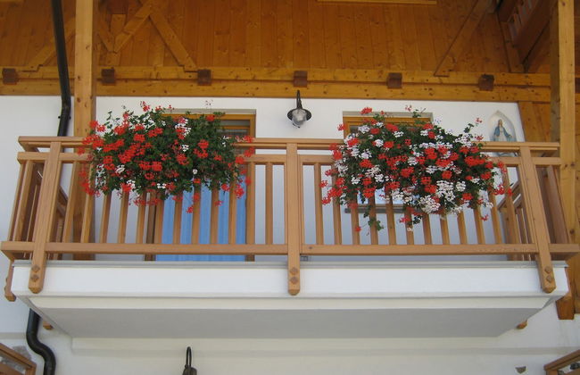 Agritur Pisani - Foto 15