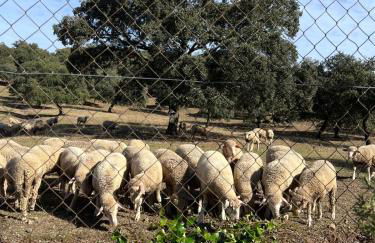 Casa Rural Nacimiento del Hueznar - Tomillo 17 - Foto 59