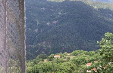 ΤΟ ΑΡΧΟΝΤΙΚΟ - Photo 9