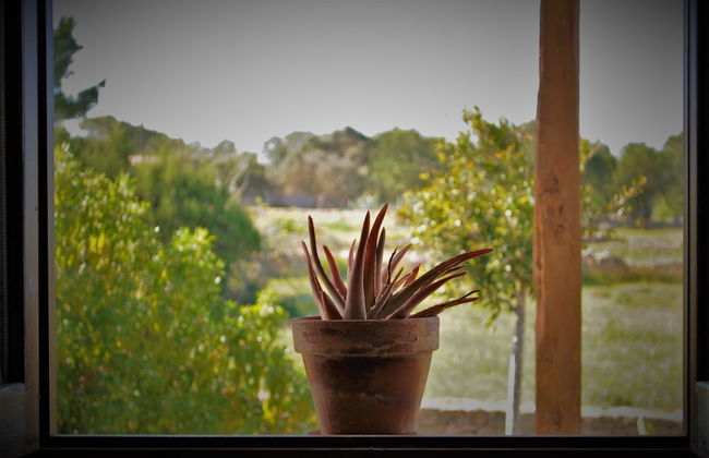 Siamo Bella - Foto 18