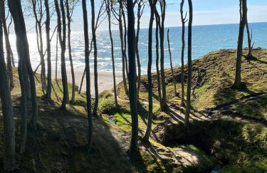 Siedlisko Wytowno - Foto 29