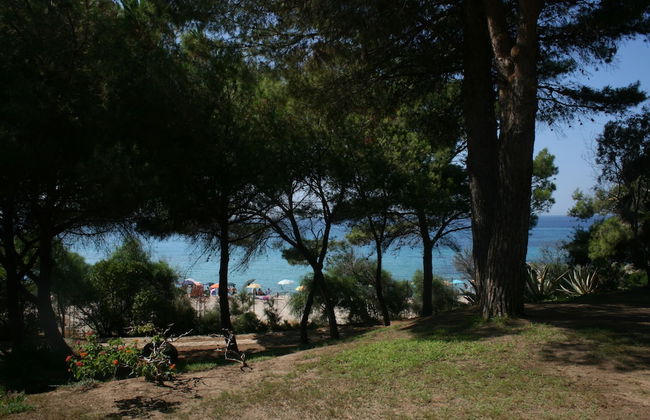 Villa Luisa - Photo 54