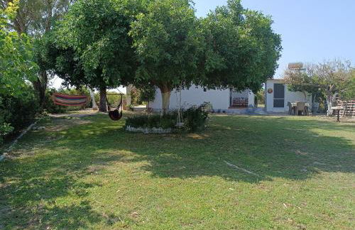 Alonia Summerhouse in Fanes - Foto 31