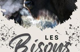 Gîtes de Charme 6 ou 8 personnes en Aubrac chez Sébastien & Stéphanie - Foto 53