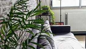 Logement entier proche de Lyon - Foto 4