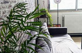 Logement entier proche de Lyon - Foto 4