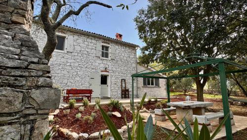 House Kisic - Foto 4, Garden