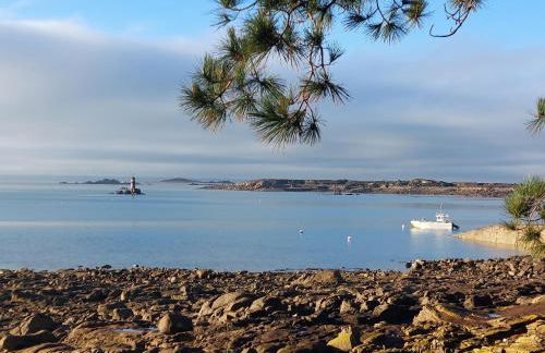 Île Grande, Location maison saisonnière chez Dom et Cathy C - Foto 32