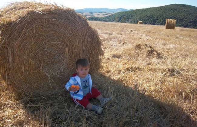Casa Girasole Agriturismo Le Selvole Tuscany - Foto 28