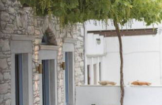 Traditional Inn Pirethron - Foto 44