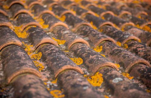 Capitati...per caso - Foto 24