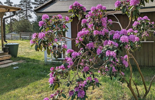 5 Person Holiday Home in Sjobo - Foto 25