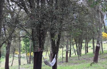 Casa d' Além Turismo e Natureza - Refúgio do Bosque - Foto 18