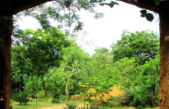 Beddegama Eco - Photo 42