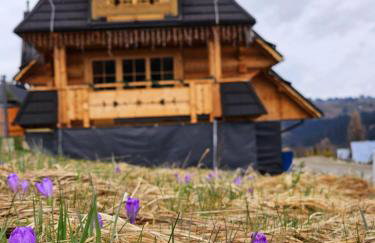 Góralski Domek Łopatówka z kominkiem i Banią - Jacuzzi! - Foto 16