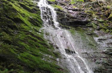 Witts Home from Home - Foto 57