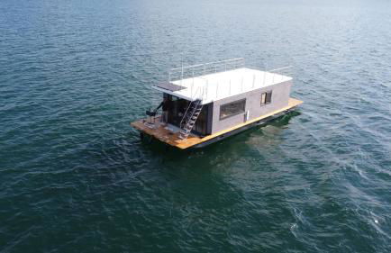 Bateau panoramique sans permis Lac du Der - Nemours - Foto 3