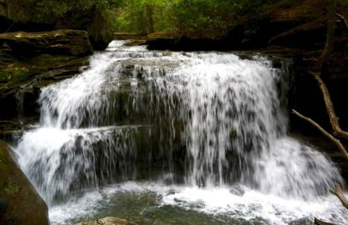 Paddler's Lane Retreat - Foto 43