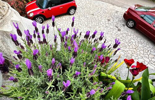 Studio apartman Gardenia - Photo 25