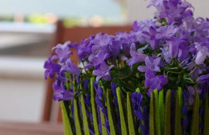 Apartments Jadranka - Foto 39