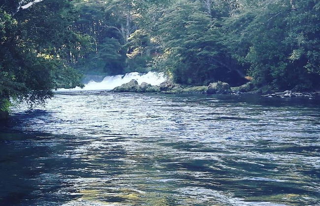 Cabin Chalet Type in Pucon - Photo 10