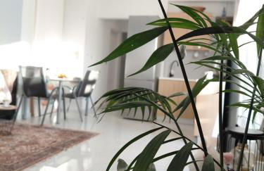 S&M Cozy Garden Lagonissi - Photo 19