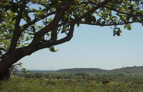 Andreas Studios - Photo 22