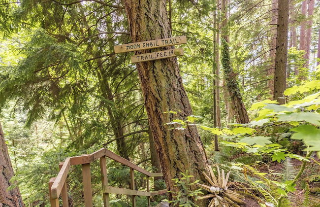 The Cottage at Herons Roost by Avantstay - Foto 33