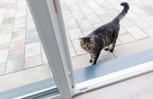 Brehm Living - Foto 17