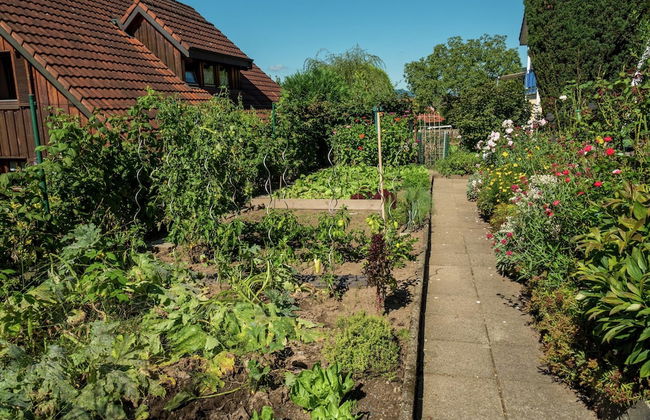 Cheerful Apartment near Historic City Center of Haslach - Foto 26