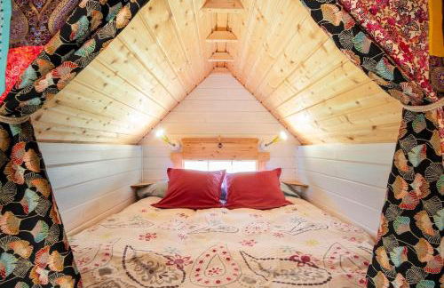 Ophrys ha Melenig - Foto 22