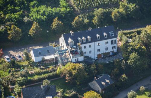 Moseltraum Alte Schmiede - Foto 57