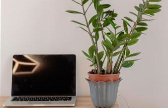 Ruggieri Apartments Roma - A 5 minuti dalla Metro A Anagnina - Foto 45