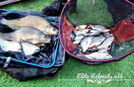 Elite Retreats 4U Lakeside Hot Tub Log Cabin with the fishing peg at Tattershall Lakes Park - Foto 35