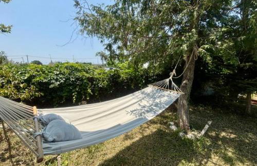 Maestro παραλία Καριανής - Foto 10