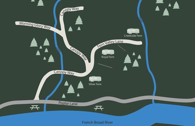 Royal Fern in Pisgah Forest - Foto 37