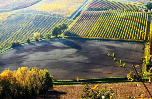 La Colombara - Fra i colli a 5 minuti dall'autodromo - Foto 35