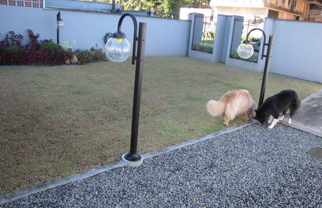 Casa Confortável 02 - Foto 22