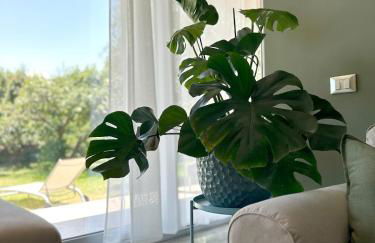 The Pavillion oasi a Cannizzaro - Foto 9