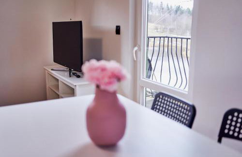 Domki Nad Stawami Apartament - Foto 14