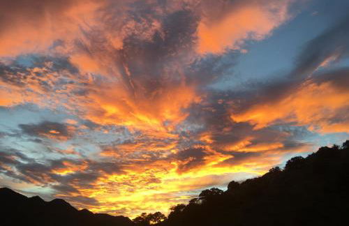 Galeria Viviente Eco Casita - Foto 35