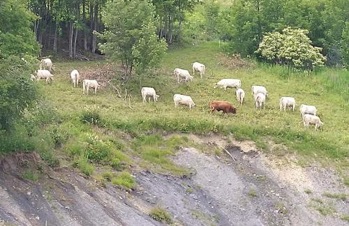 Corbier centre Vostok 32m2 balcon Sud vue pistes Classé Tourisme - Foto 36